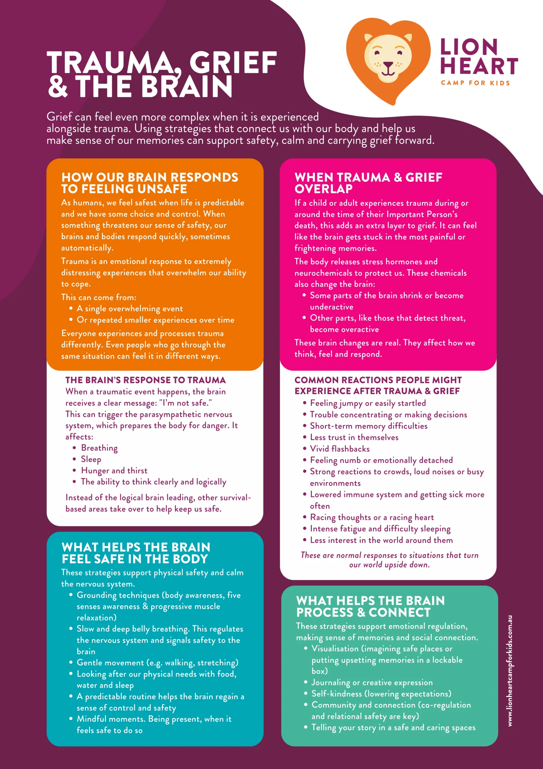 Trauma Grief and the Brain